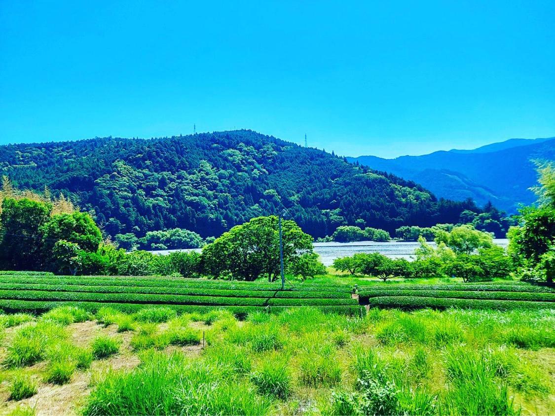 一棟貸し宿 Kanata Riverview House *